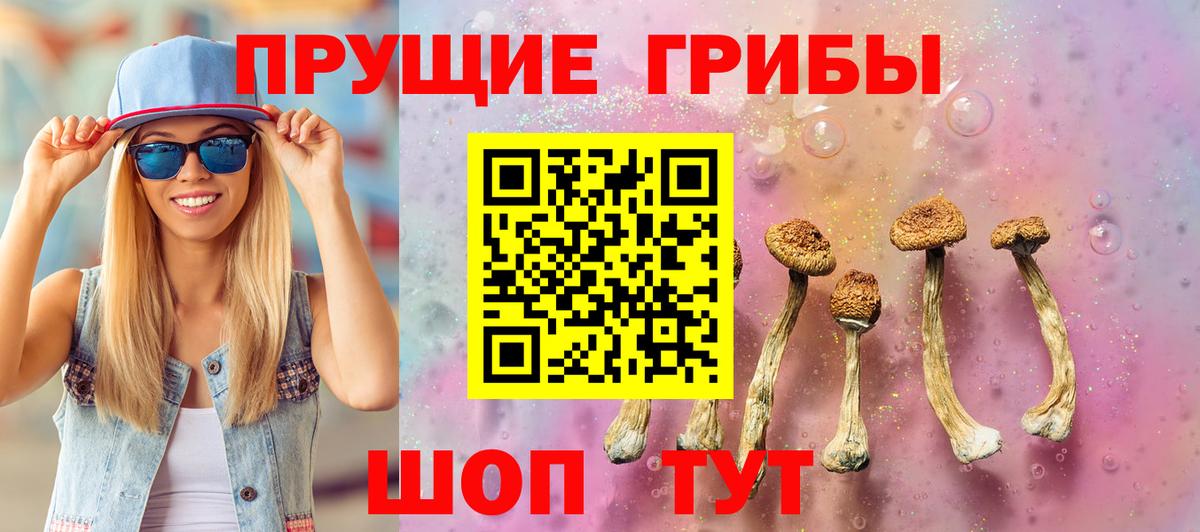 Псилоцибиновые грибы ЛСД  Вход с VPN  Бердск 