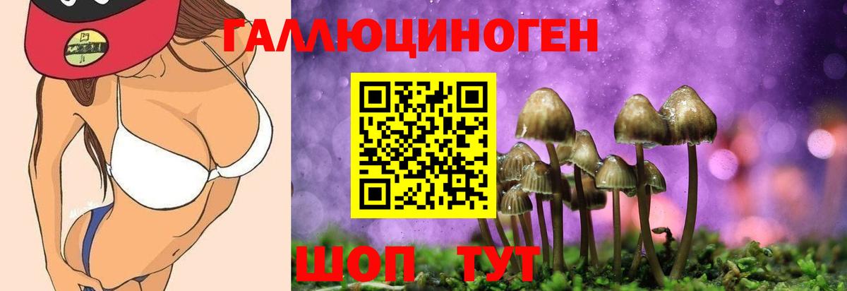 Псилоцибиновые грибы мухоморы Бердск